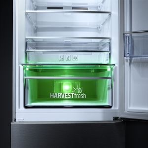 Harvestfresh green
